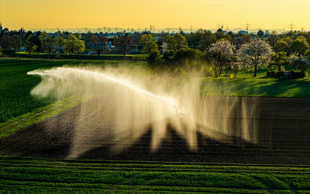 Agri-business & Regional Enterprises