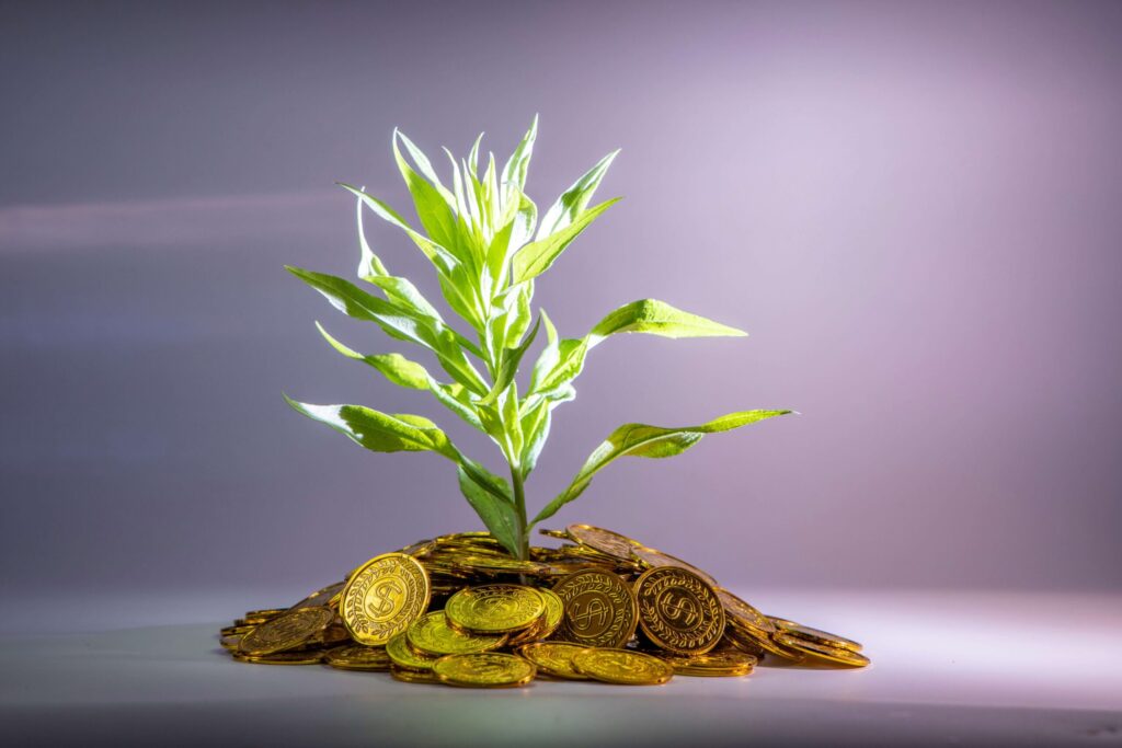 Business valuation in succession planning